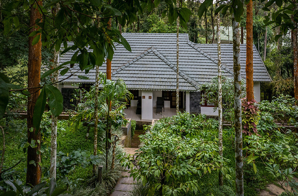 Into the Wild in Luxury: Discover the Best Resort in Forest Ambience That Wayanad Has to Offer